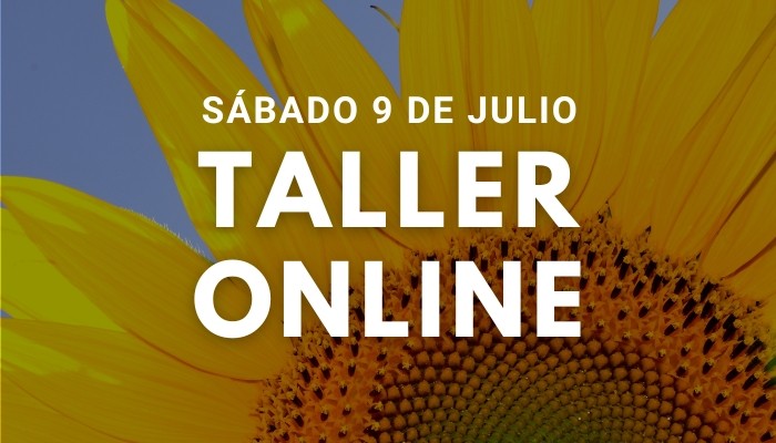 Taller Ho'oponopono Online, Sábado 9 de Julio 2022