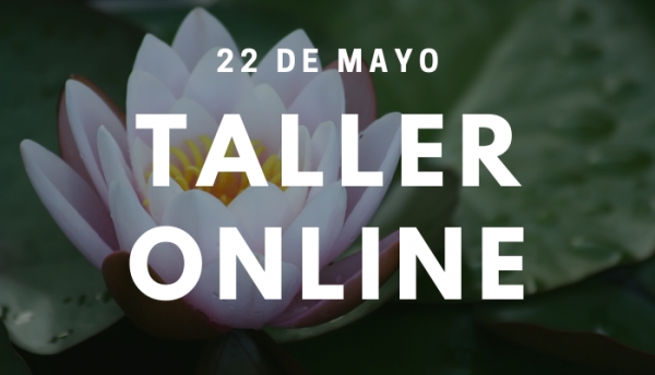 Taller Ho&#039;oponopono Online, Viernes 22 de Mayo 2020