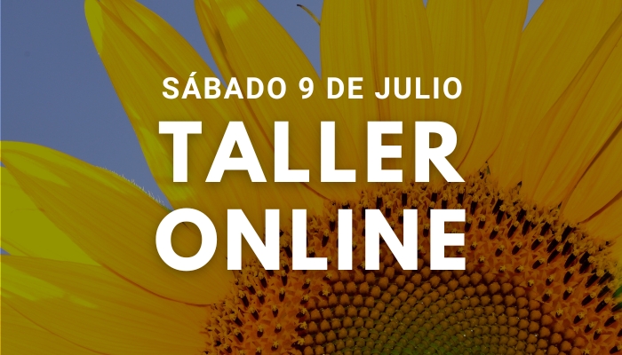 Taller Ho&#039;oponopono Online, Sábado 9 de Julio 2022