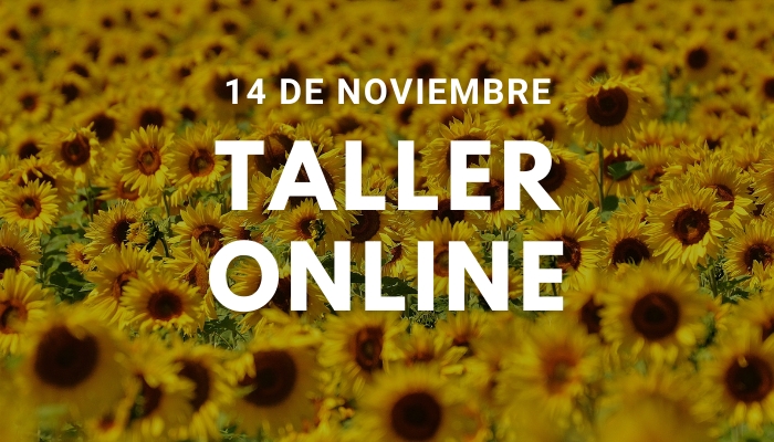 Taller Ho&#039;oponopono Online