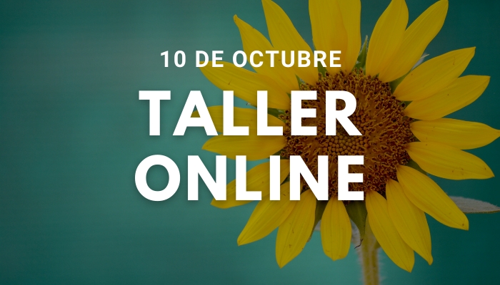 Taller Ho&#039;oponopono Online