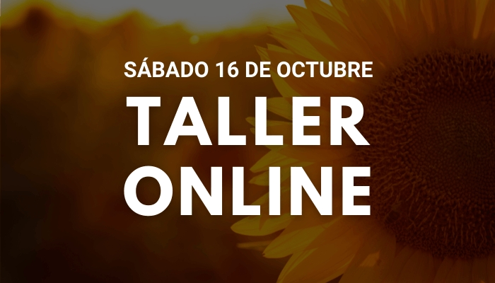 Taller Ho&#039;oponopono Online, Sábado 16 de Octubre 2021